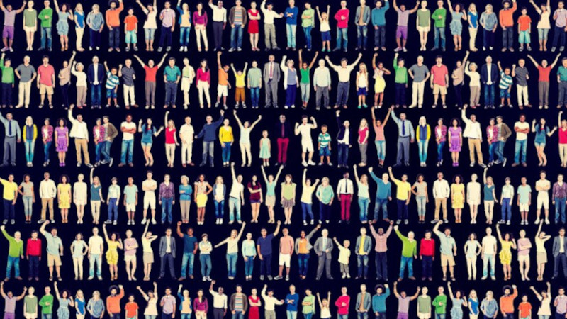 Multitude